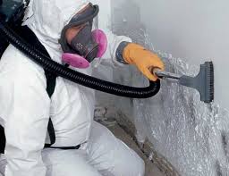 Best Black Mold Removal  in Lonaconing, MD